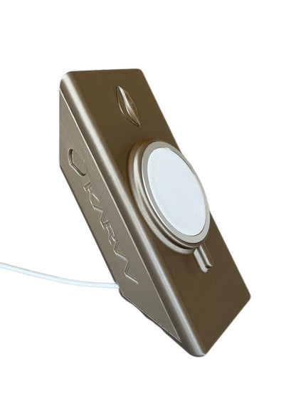 KARVV ChargeVault Gold-Silver