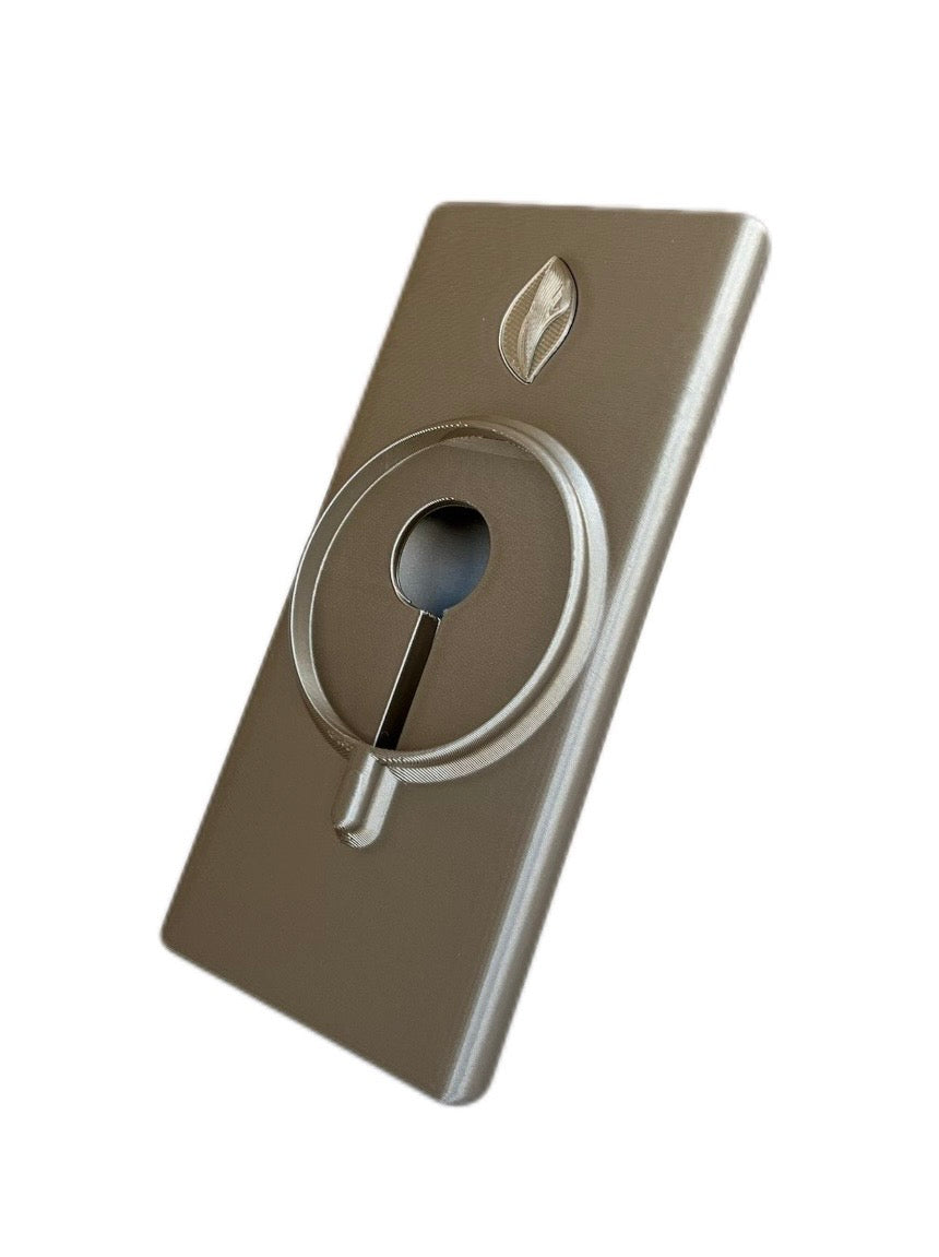 KARVV ChargeVault Gold-Silver